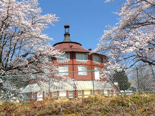 清春白樺美術館と桜