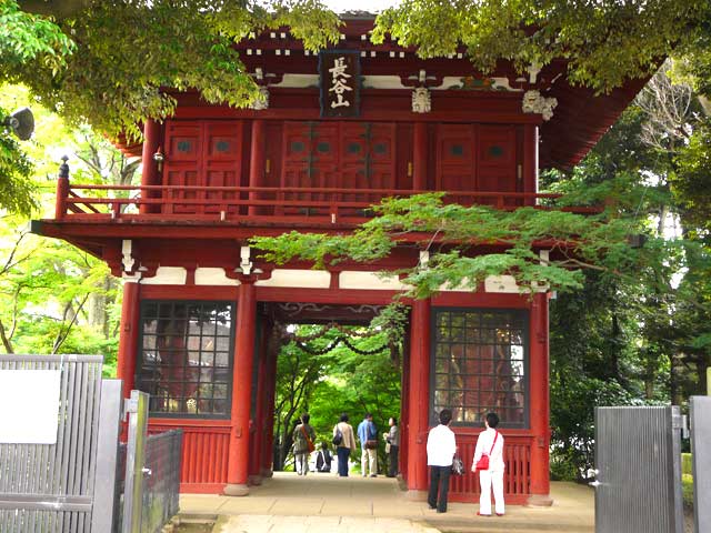 本土寺の赤門