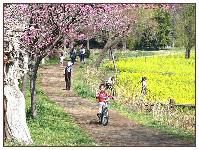 子供らと遊ぶ美しい公園・古河総合公園の春
