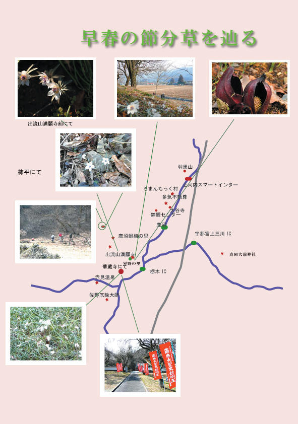 栃木県の節分草の咲く名所紹介図