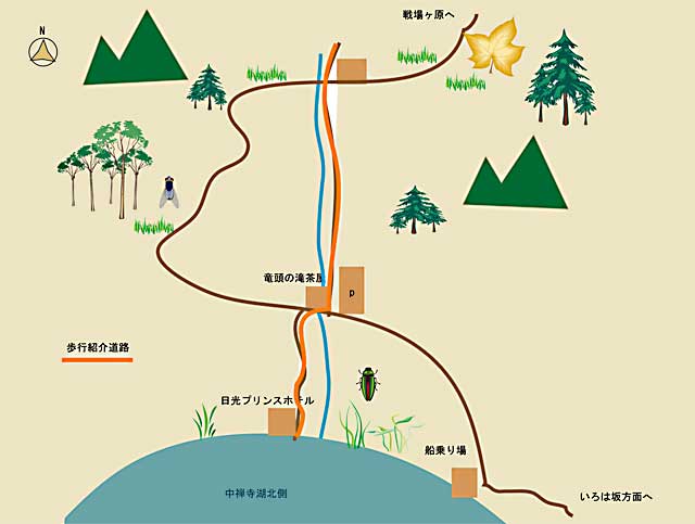 竜頭の滝周辺地図