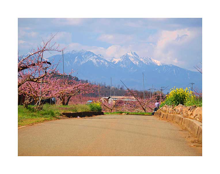 韮崎からみる八ケ岳と桃の花