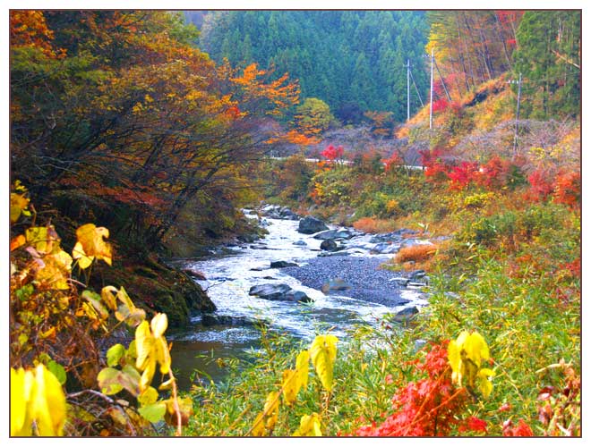 小来川渓流の秋