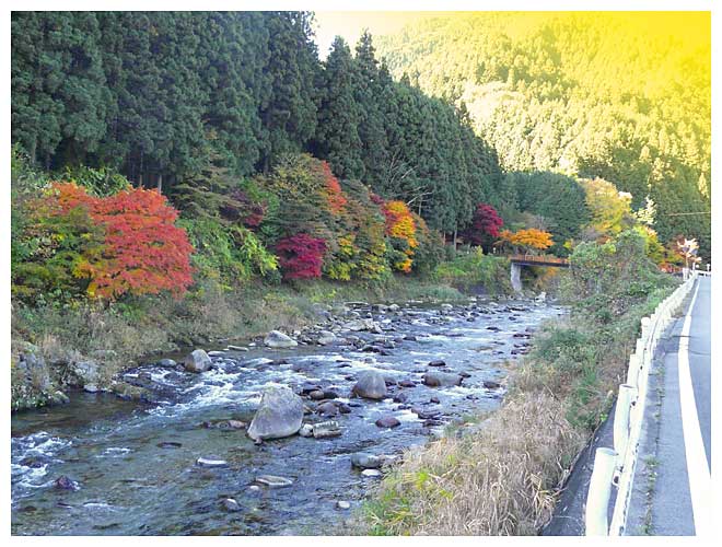 大芦川の秋