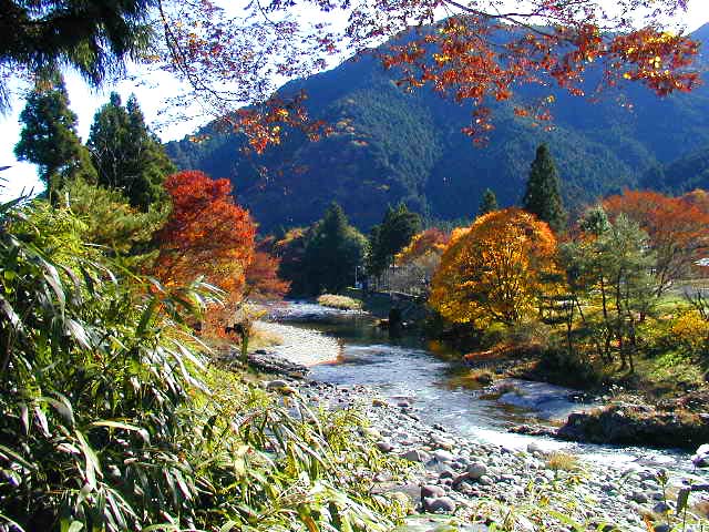 大芦川の紅葉