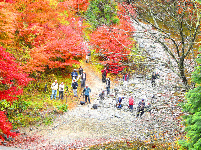 白井平橋の紅葉を撮影する人達