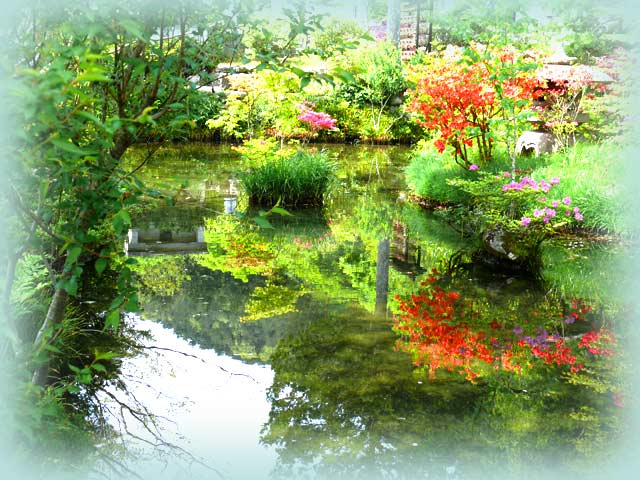 妙雲寺と池の花を楽しむ