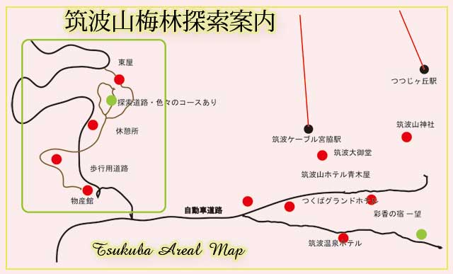筑波観梅の地図