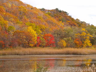 裏磐梯から見るいろいろな湖畔の秋情景