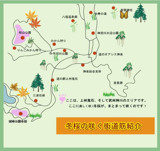 藤岡冬桜の咲くスポット紹介図