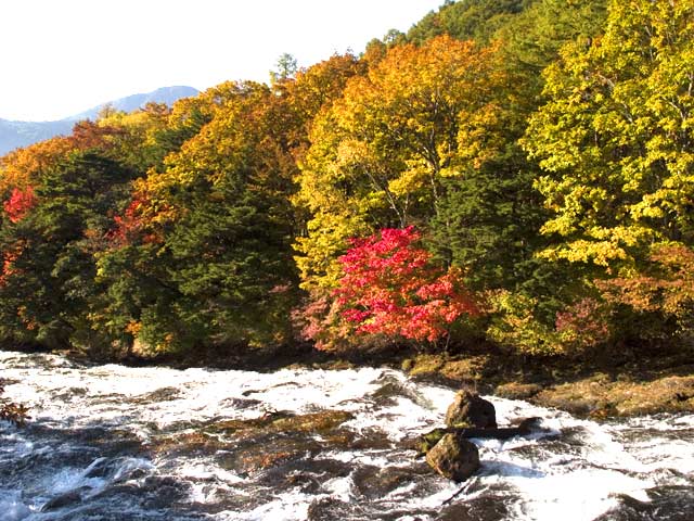 竜頭の滝の紅葉です・・・遠く中禅寺湖がみれます。