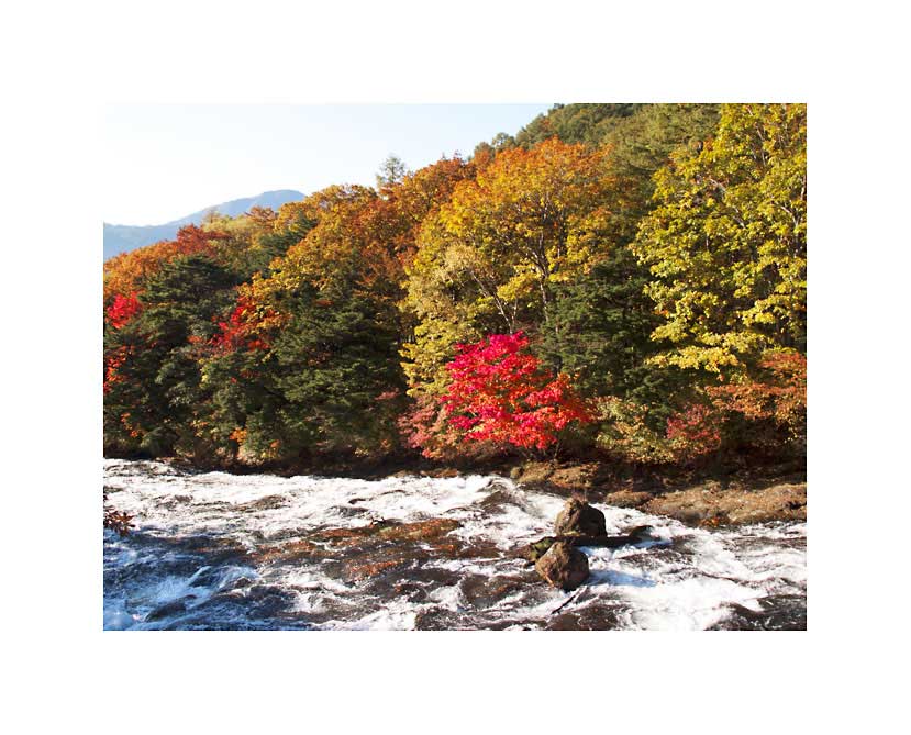 竜頭の滝紅葉風景