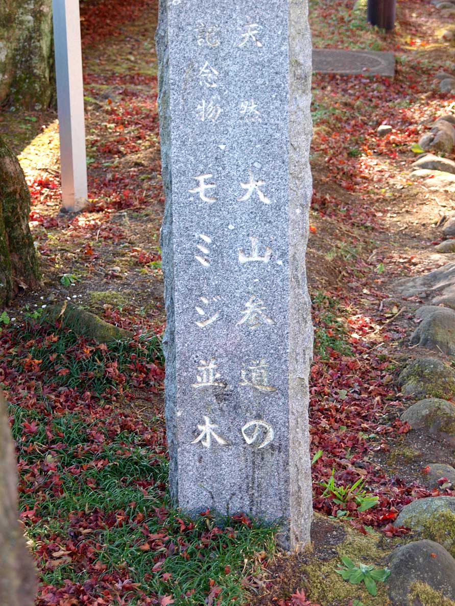 ooyamakouen-10