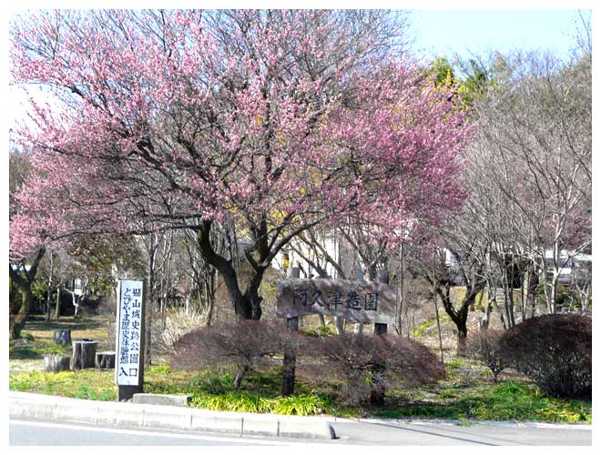 飛山城址公園の入口周辺の梅