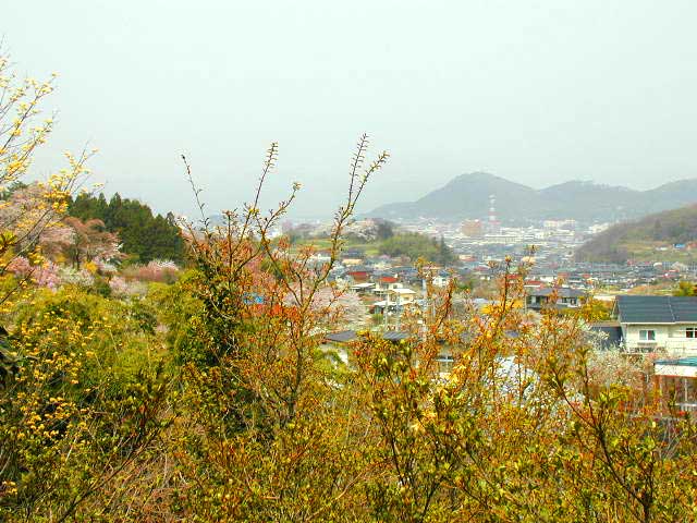 花見山から福島市内を望む