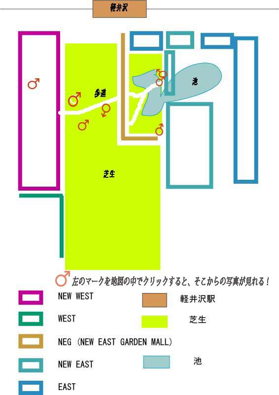軽井沢 プリンスショッピングプラザ地図