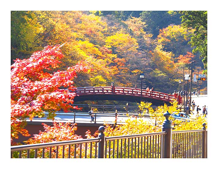 大谷川と神橋の秋