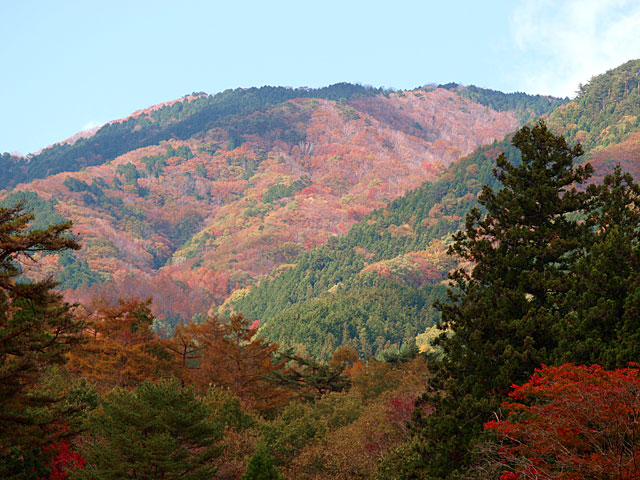 古峰園から古峰ヶ原の山々を見てみました・・・・素晴らしい紅葉が見えてきます