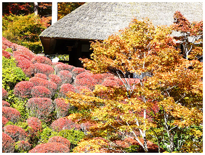 古峰ヶ原神社　古峯園　道段の葉が残っている