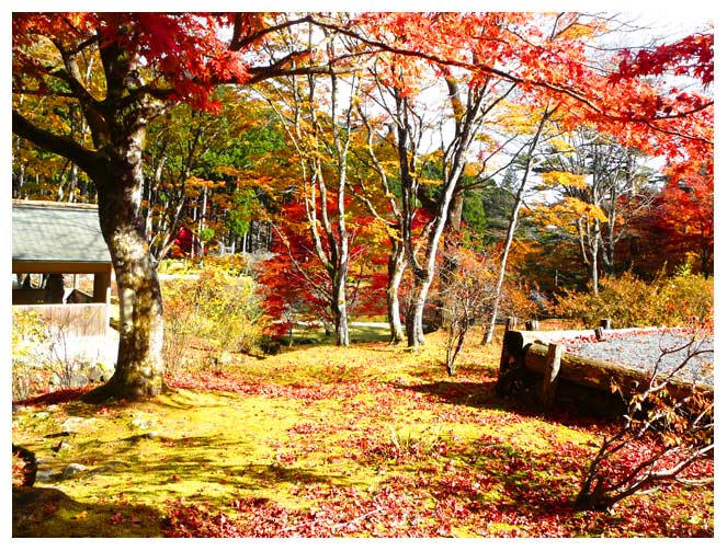 古峯園の晩秋の紅葉と佇み