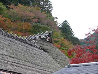 茅葺の古峯神社