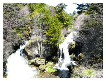 春の竜頭の滝を見る