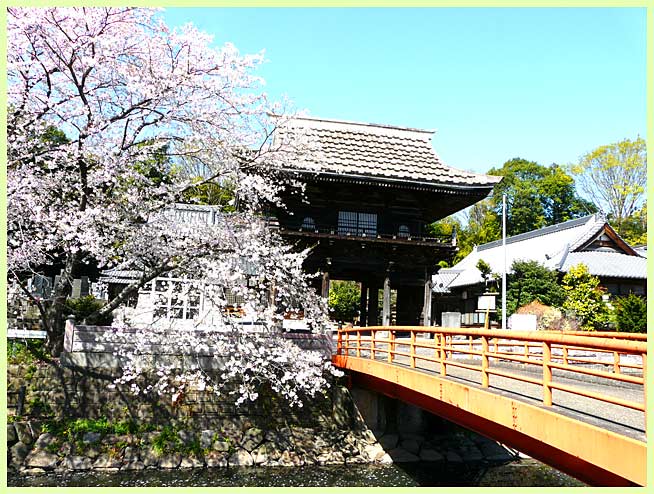 海潮寺の桜と山門