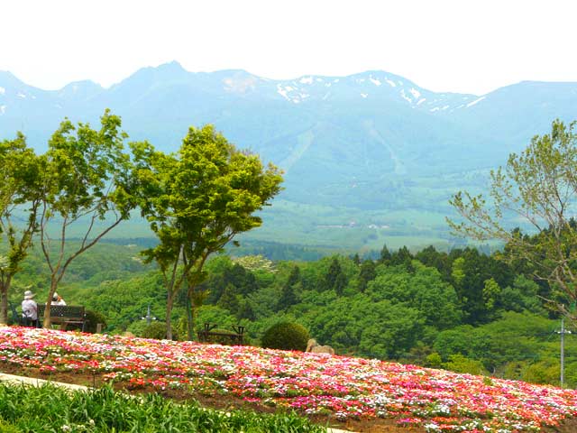那須連山をバックに咲く花々