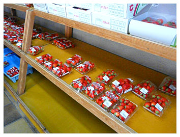 棚に並べられｔれいる安いイチゴ群