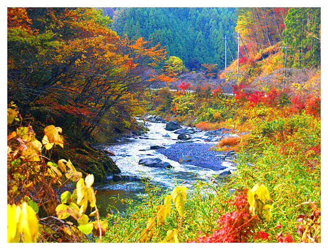 小来川野川の流れる場所の紅葉