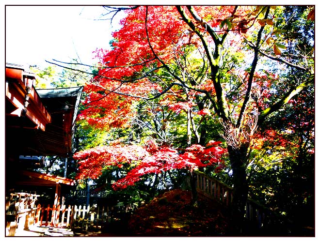 唐沢神社と紅葉