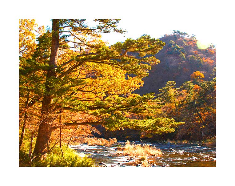 塩原箒川の素晴らしい紅葉に連れて時間が静かに過ぎてゆく
