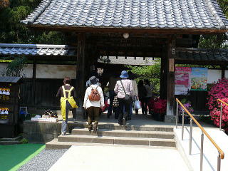 茂林寺の春・入り口風景