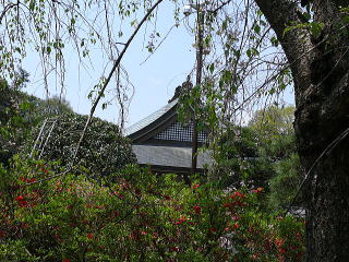 茂林寺の屋根を望む