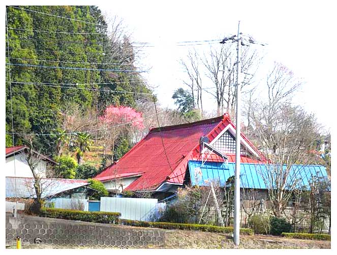 古賀志山周辺での春と民家