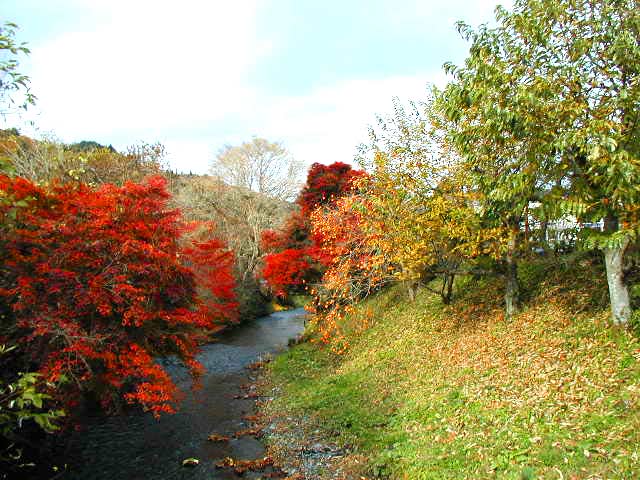 紅葉の素晴らしい小川風景
