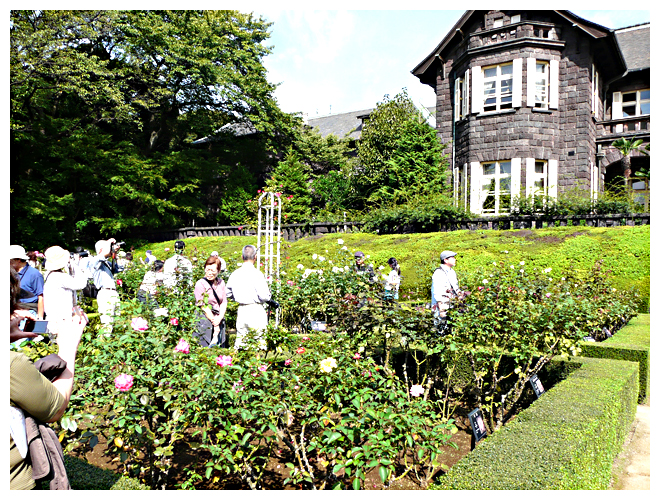 Furukawa Garden 6