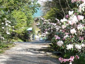Nikko Botanical Garden Entrance